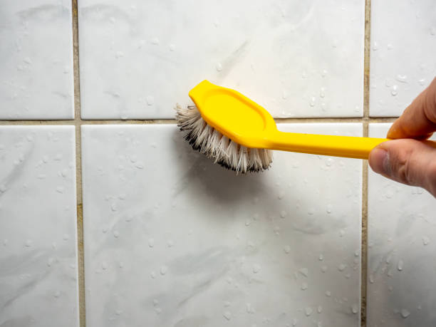 Best Affordable Mold Removal  in Forest Oaks, NC