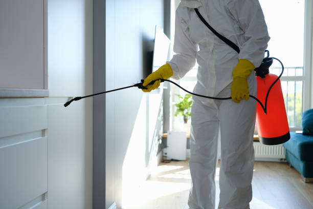 Best Home Mold Removal  in Forest Oaks, NC