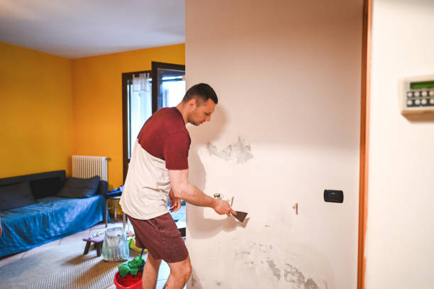 Best Same-Day Mold Removal  in Forest Oaks, NC